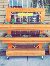 Two Tier Urban Garden