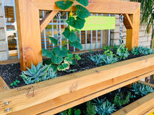 Two Tier Urban Garden